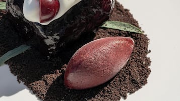 A dessert on a plate with a dark base, white topping, and red fruit pieces.