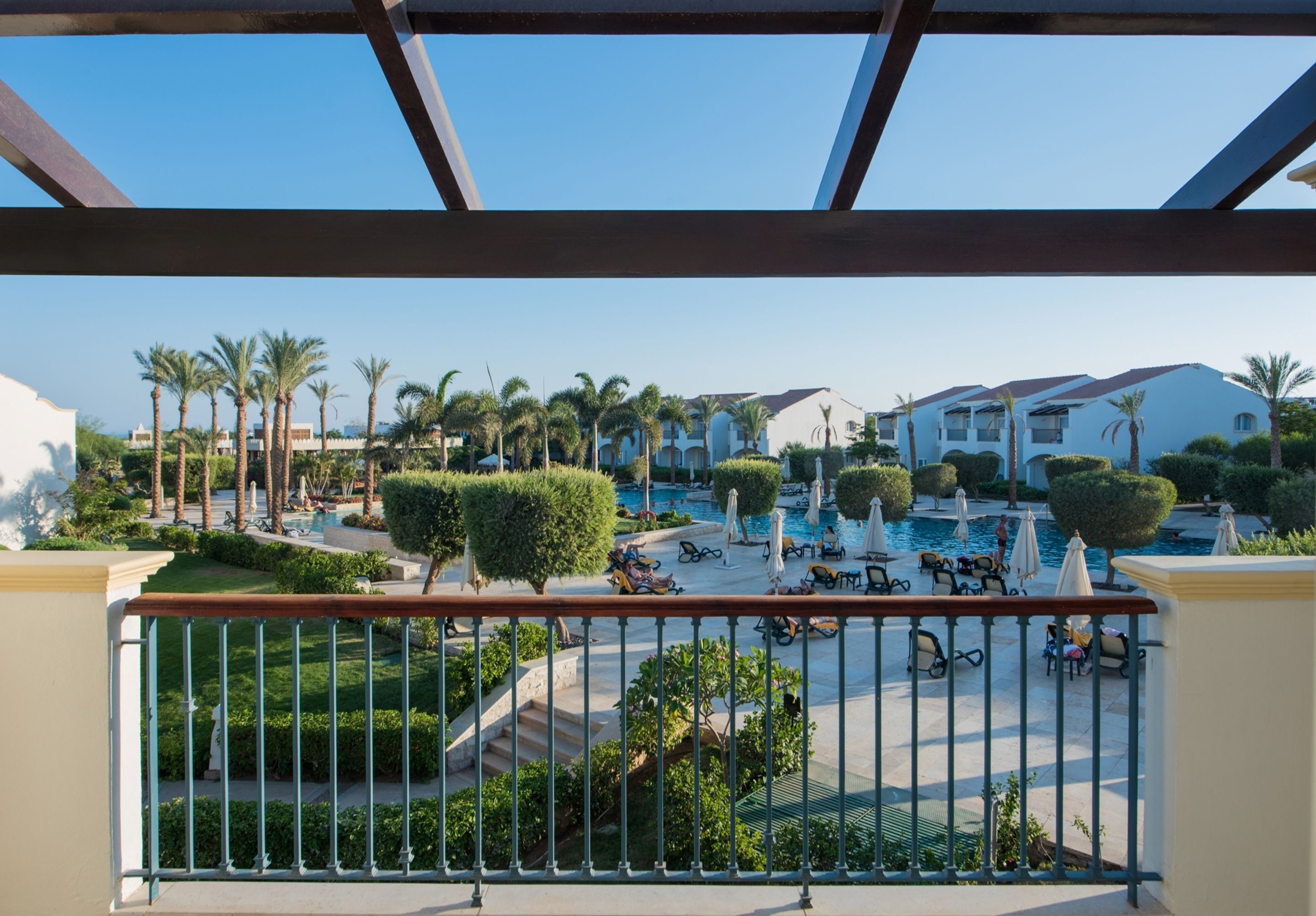 A pool area with lounge chairs and palm trees.