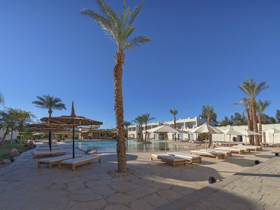 A poolside area with lounge chairs, palm trees, and umbrellas.