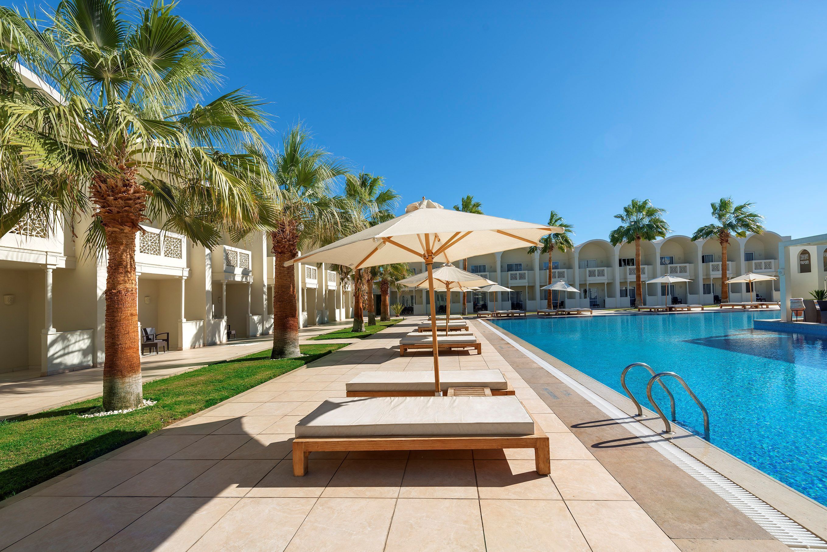 A poolside area with lounge chairs and umbrellas, palm trees, and a clear blue sky.
