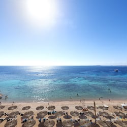 On the beach, scuba diving, beach bar
