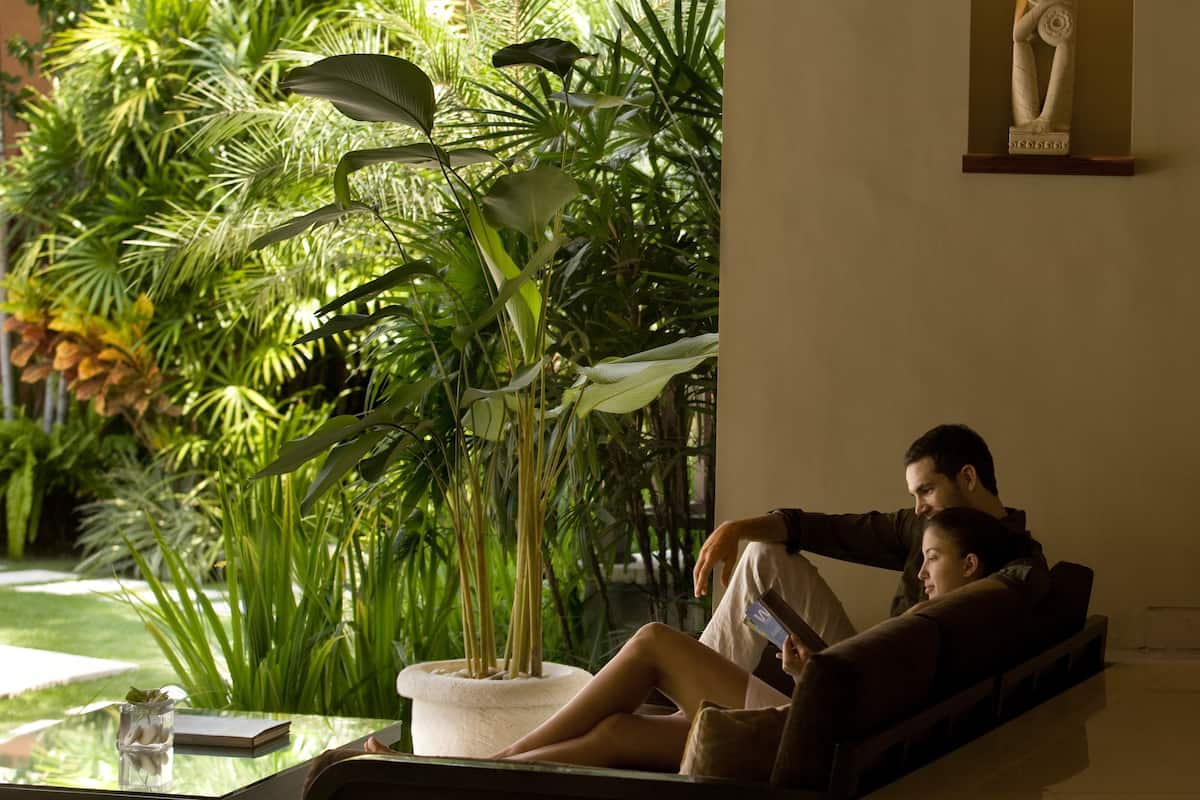 A room with a large potted plant, a glass table with a book and a glass, and a statue on the wall.