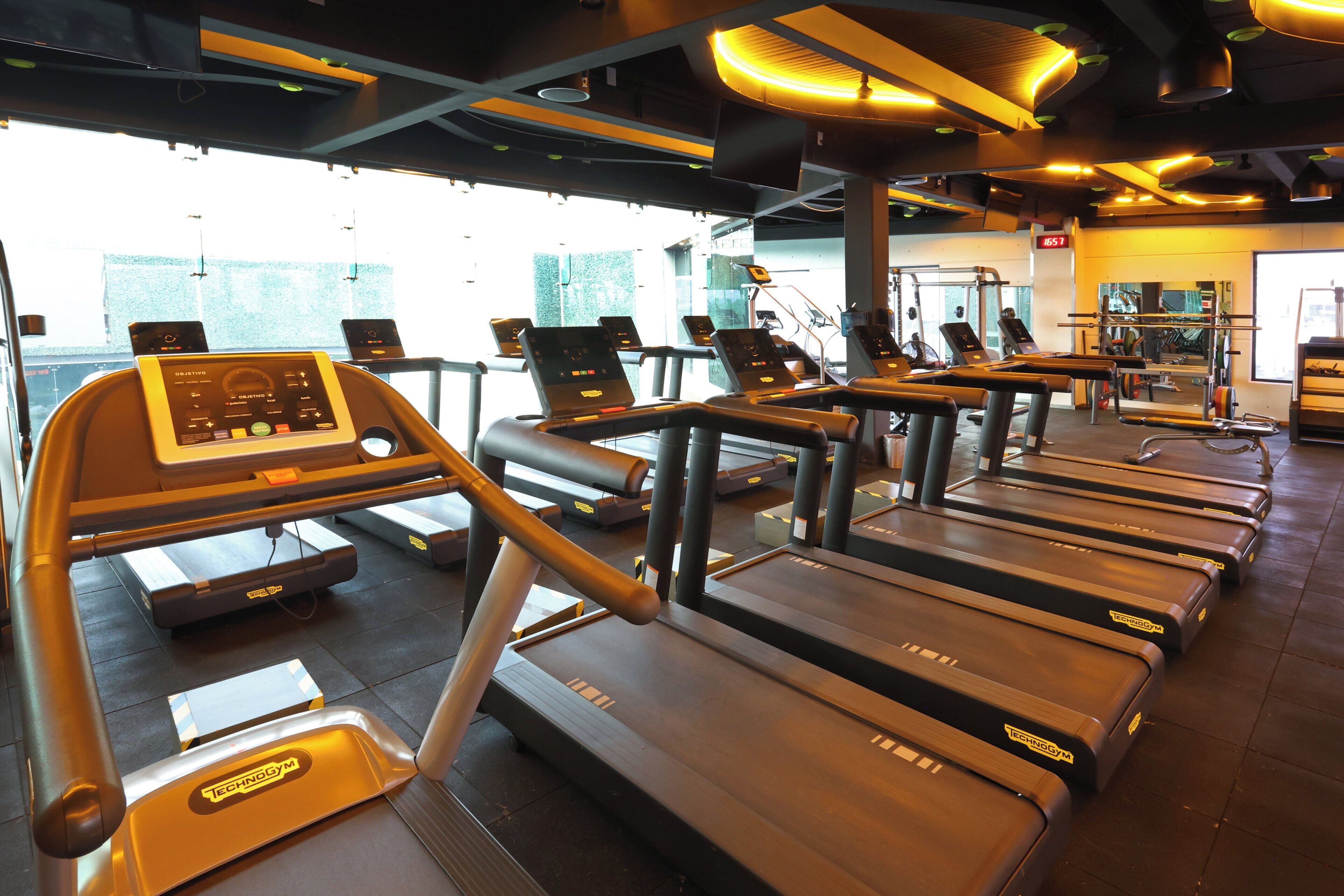 Un gimnasio con cintas de correr y elípticas, una pantalla digital y un ventanal grande.