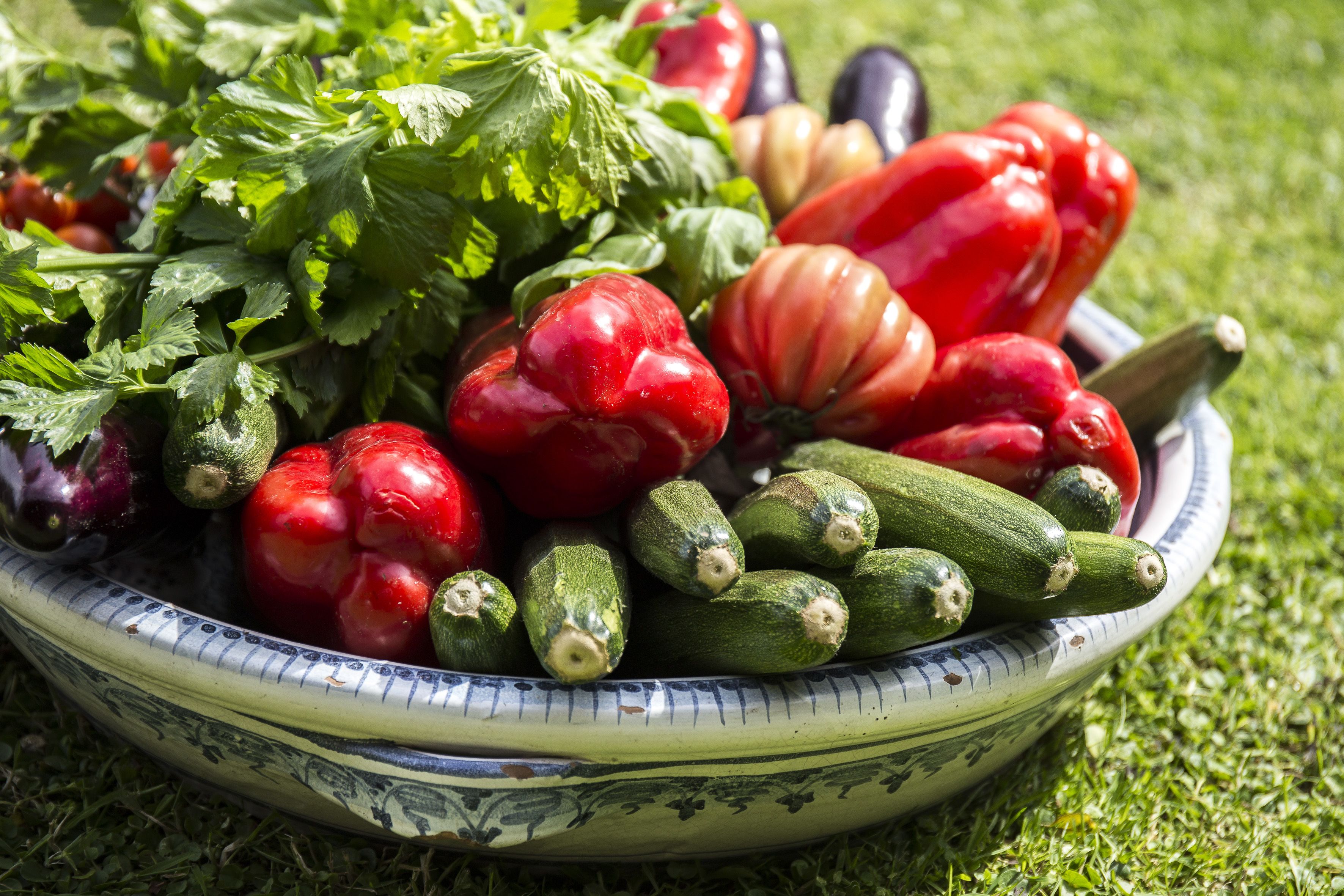 Un tazón de verduras frescas, entre ellas tomates, pepinos y berenjenas, sobre un césped.