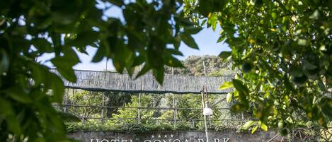 A view of Hotel Conca Park's entrance with a stone wall and greenery.