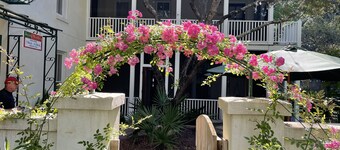 Hibiscus Coffee & Guesthouse