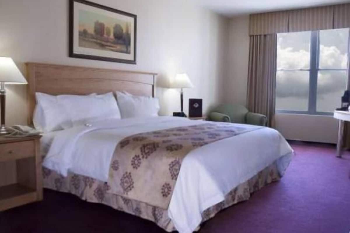 Premium bedding, in-room safe, desk, blackout drapes