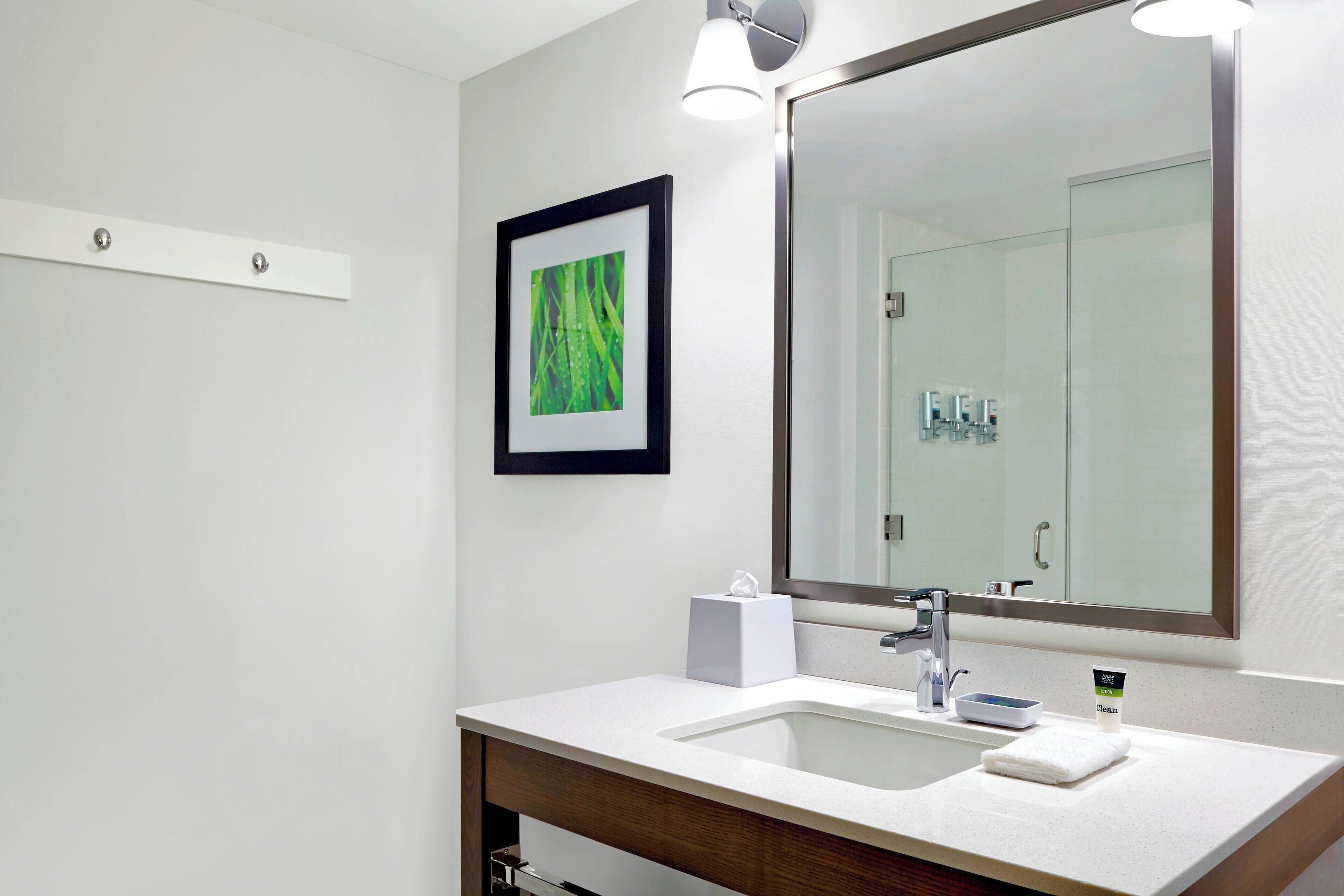 combined shower/bathtub, free toiletries, hair dryer, towels