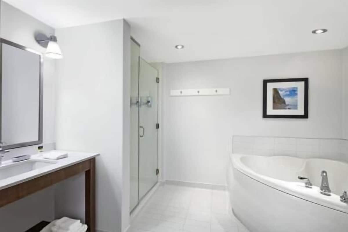 Bathroom | Combined shower/tub, free toiletries, hair dryer, towels