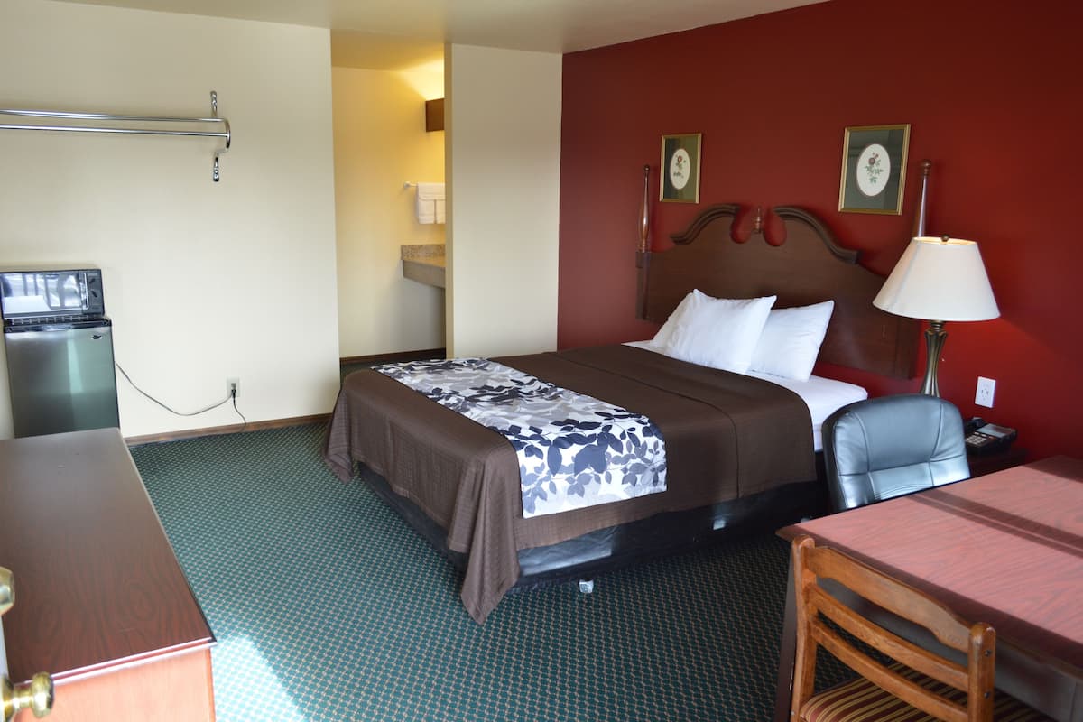 Una habitación de hotel con cama, escritorio, silla, mesa y lámpara.
