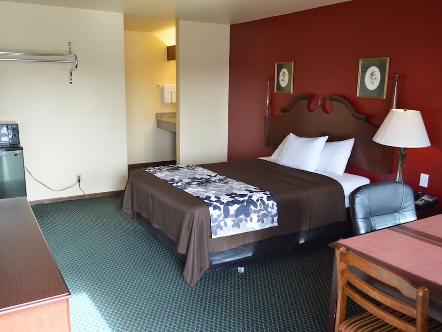 Standard Room, 1 Queen Bed, Non Smoking | Mini fridge