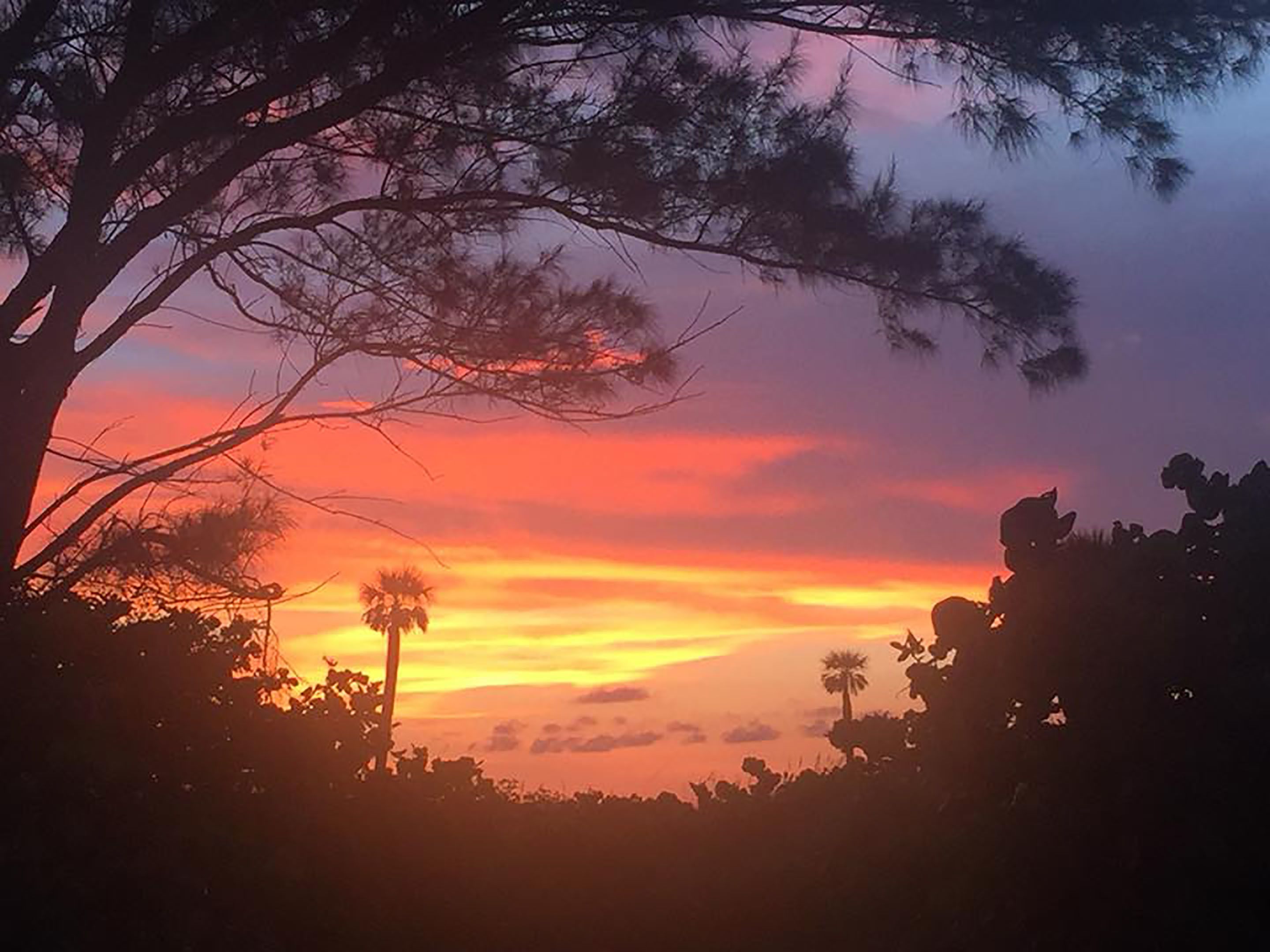 beach nearby, motor boating