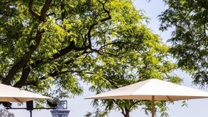 Zona de piscina con sillones y sombrillas, con vistas a un cuerpo de agua y una estructura de torre.