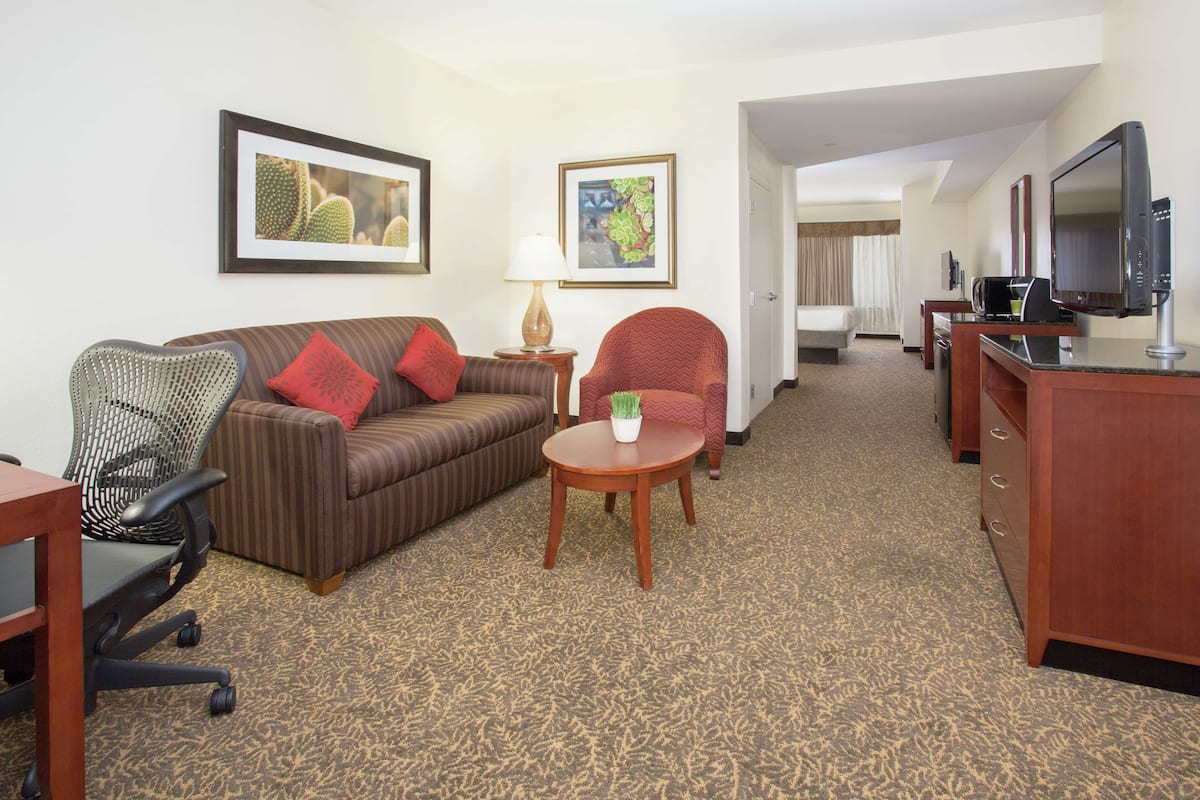 A hotel room with a brown sofa, a red armchair, a small round table with a plant, a desk with a computer, and a TV on a stand.