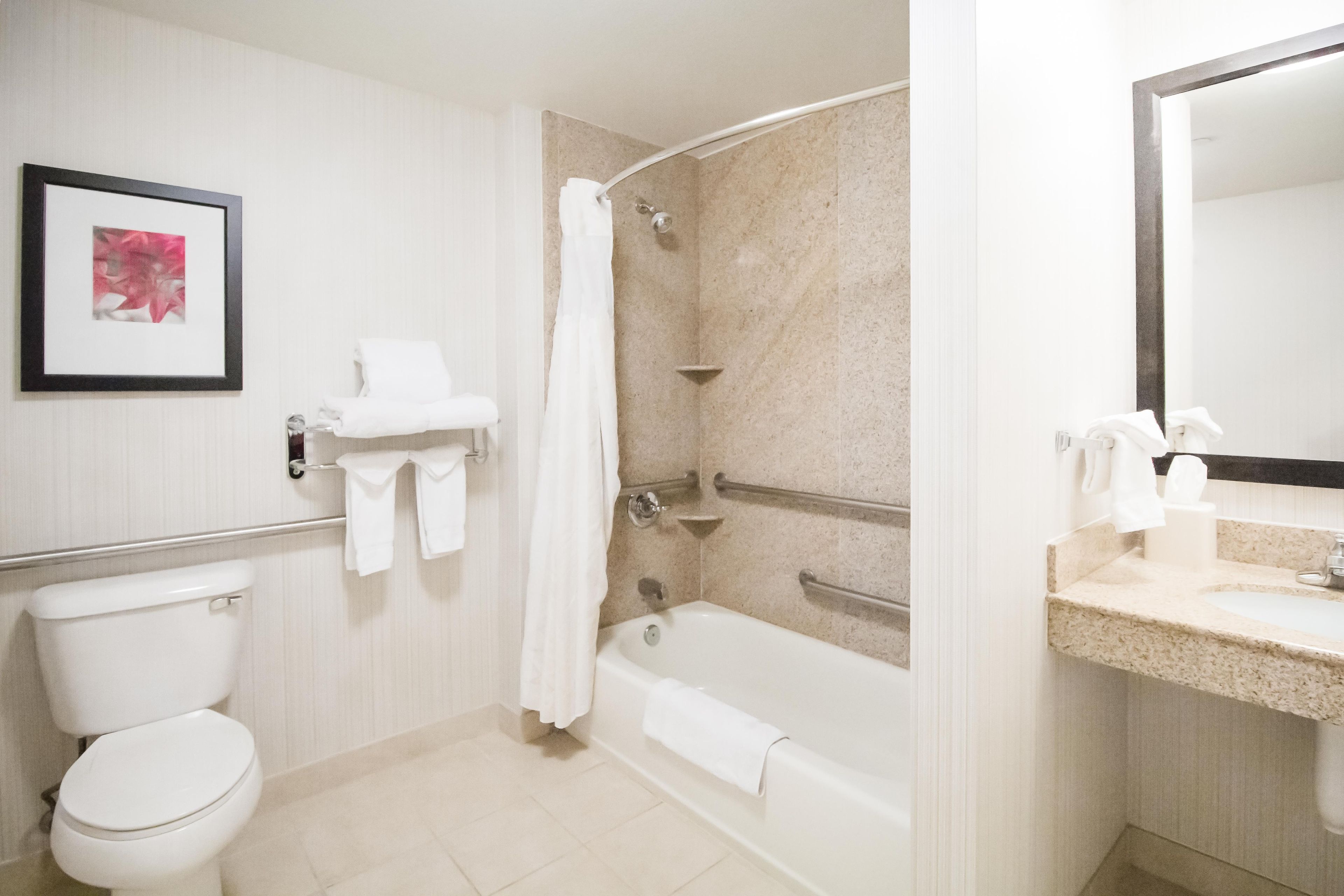 A bathroom with a toilet, a bathtub, and a shower. There is a framed picture on the wall.
