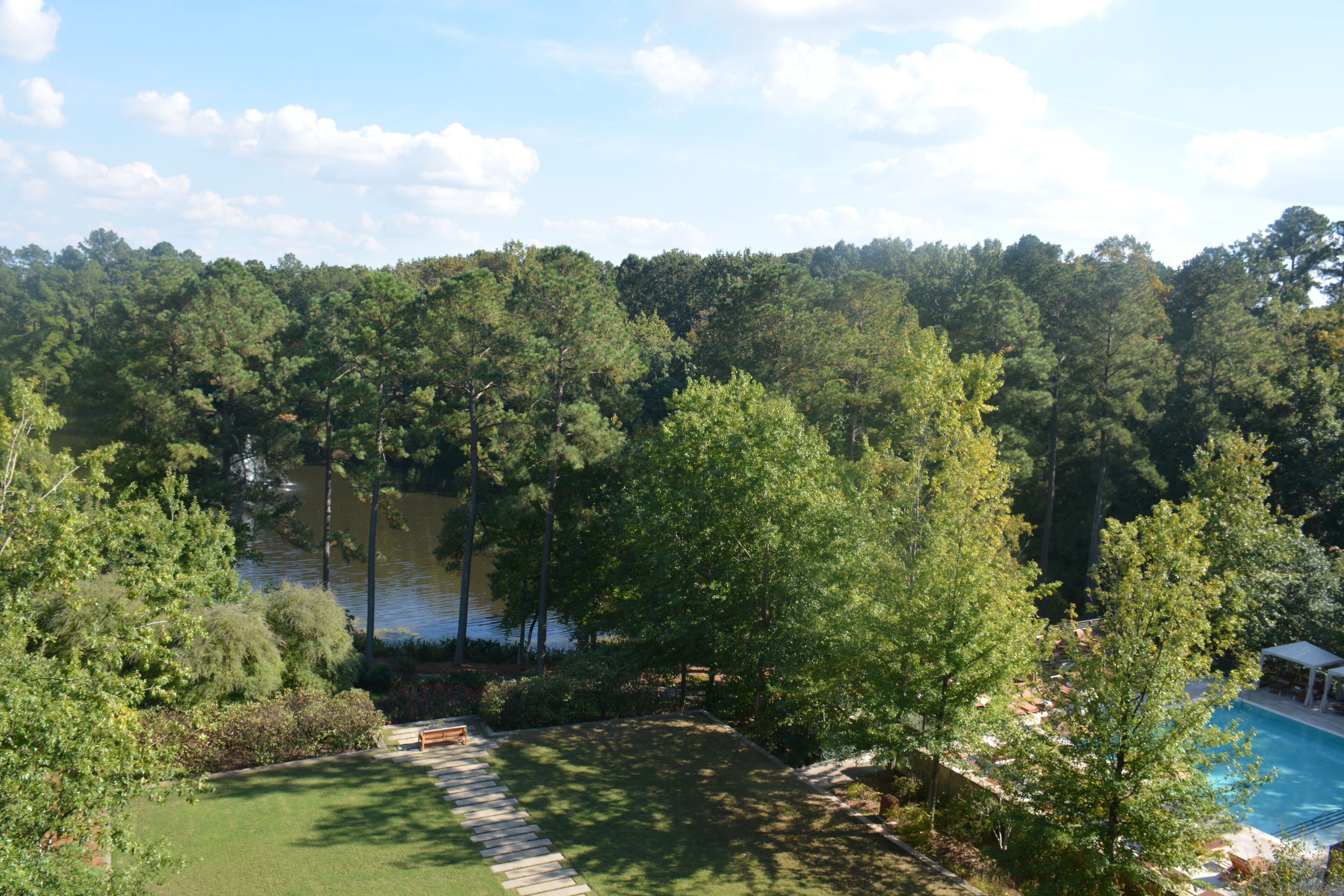 A pool surrounded by lush greenery and a lake.