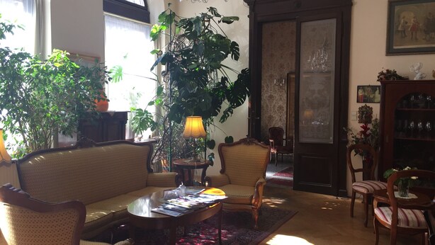 Une pièce bien éclairée, avec un canapé, des fauteuils, une table basse et un lustre. De grandes fenêtres sont ornées de rideaux, et on y trouve une plante en pot ainsi qu’un meuble en bois doté de portes en verre.