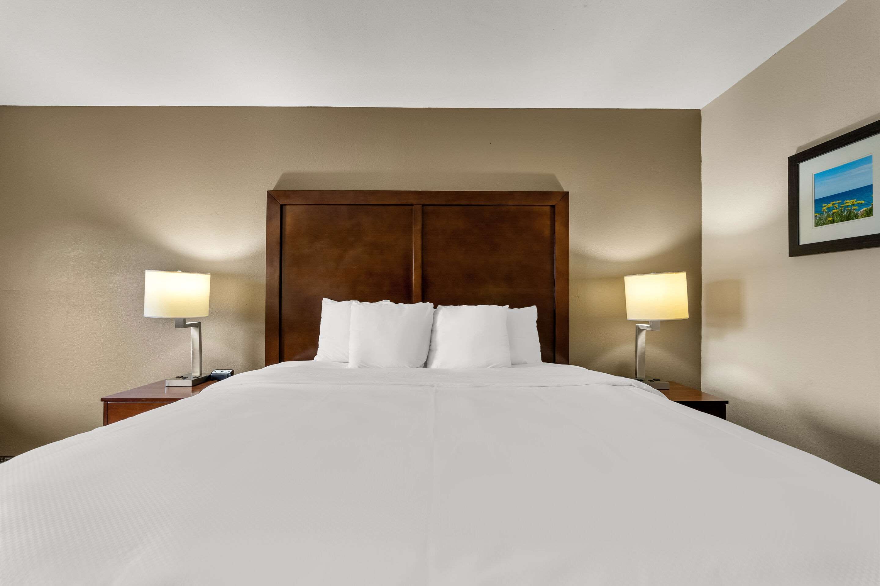 A hotel room with a large bed, two bedside tables with lamps, and a framed picture on the wall.