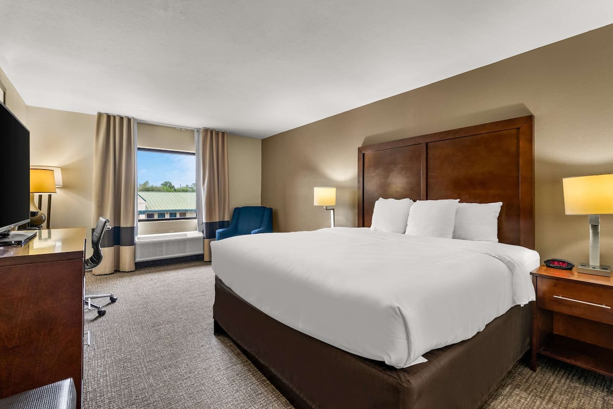Standard Room, 1 King Bed, Non Smoking | Laptop workspace, iron/ironing board, free WiFi, bed sheets