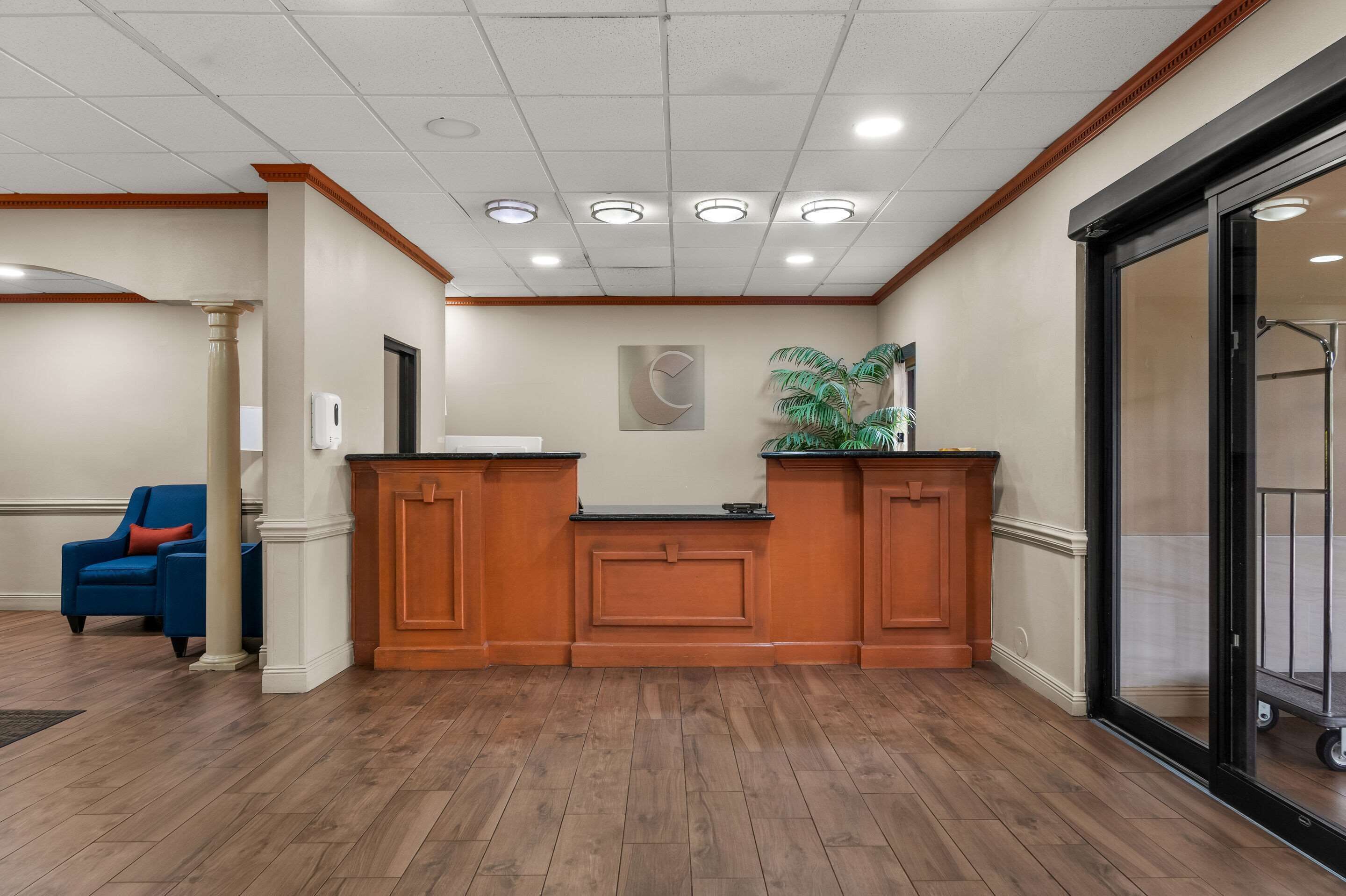 A reception area with a wooden reception desk, a blue chair, and a plant.