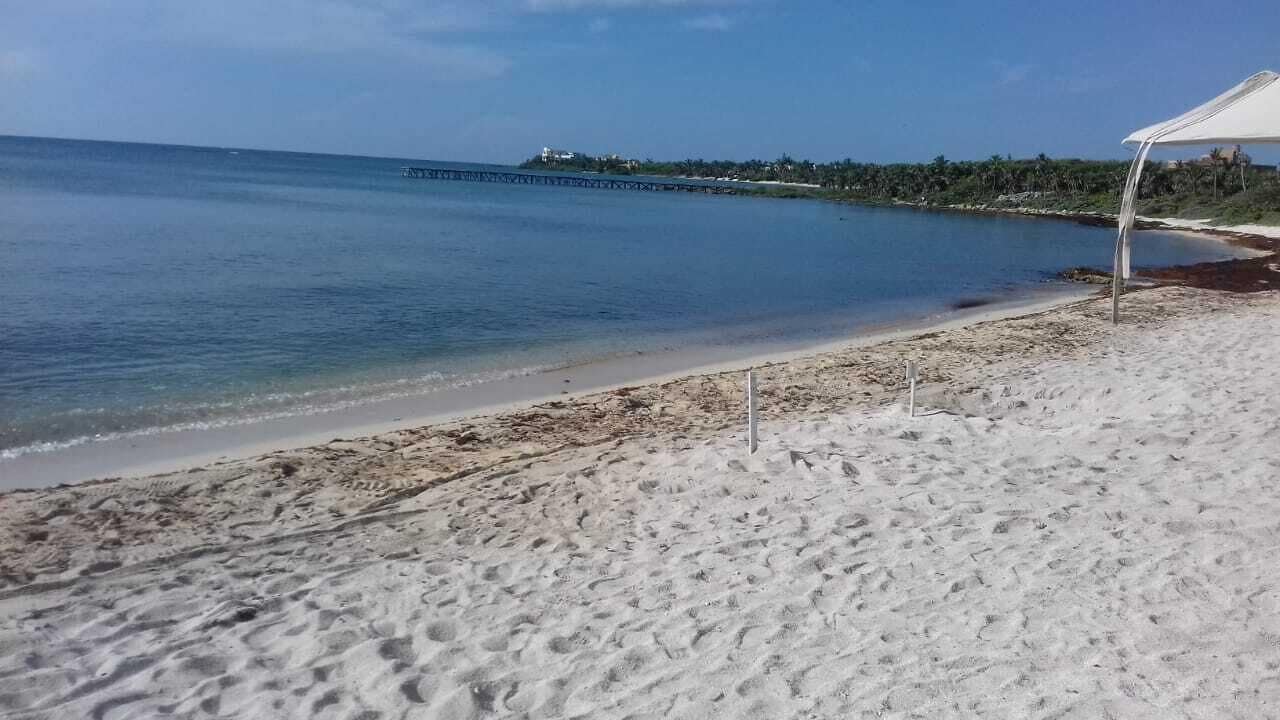 A beach with white sand, a pier in the background, and a white canopy structure on the right.