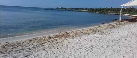 A beach with white sand, a pier in the background, and a white canopy structure on the right.