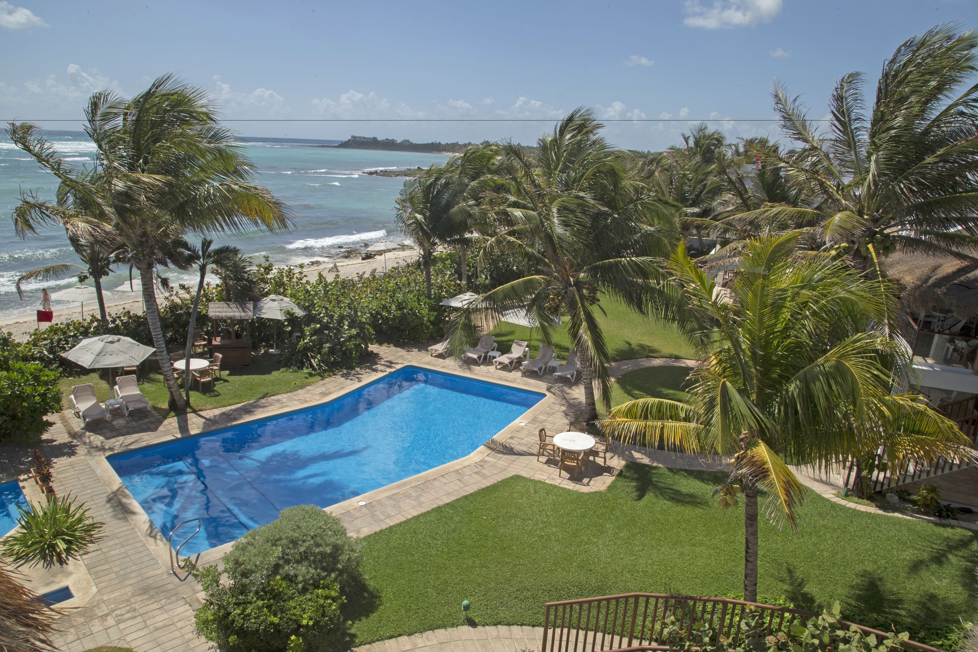 A swimming pool with a view of the ocean and palm trees.
