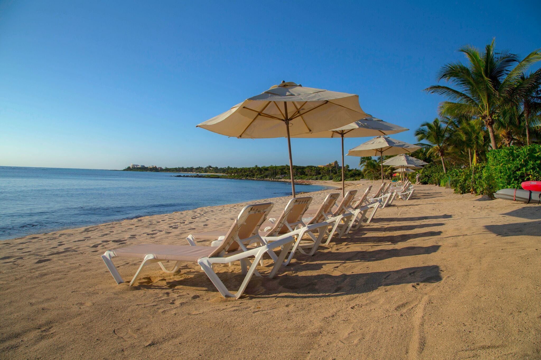 A beach with rows of white lounge chairs and beige umbrellas.