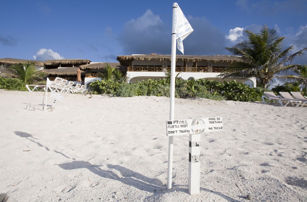 A beach with a signpost indicating a turtle nest and a warning not to touch.