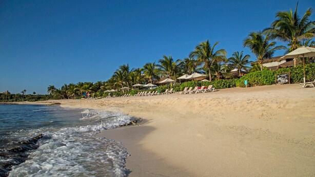 A beach with clear skies, palm trees, and sun loungers. - Las Villas Akumal (Akumal)