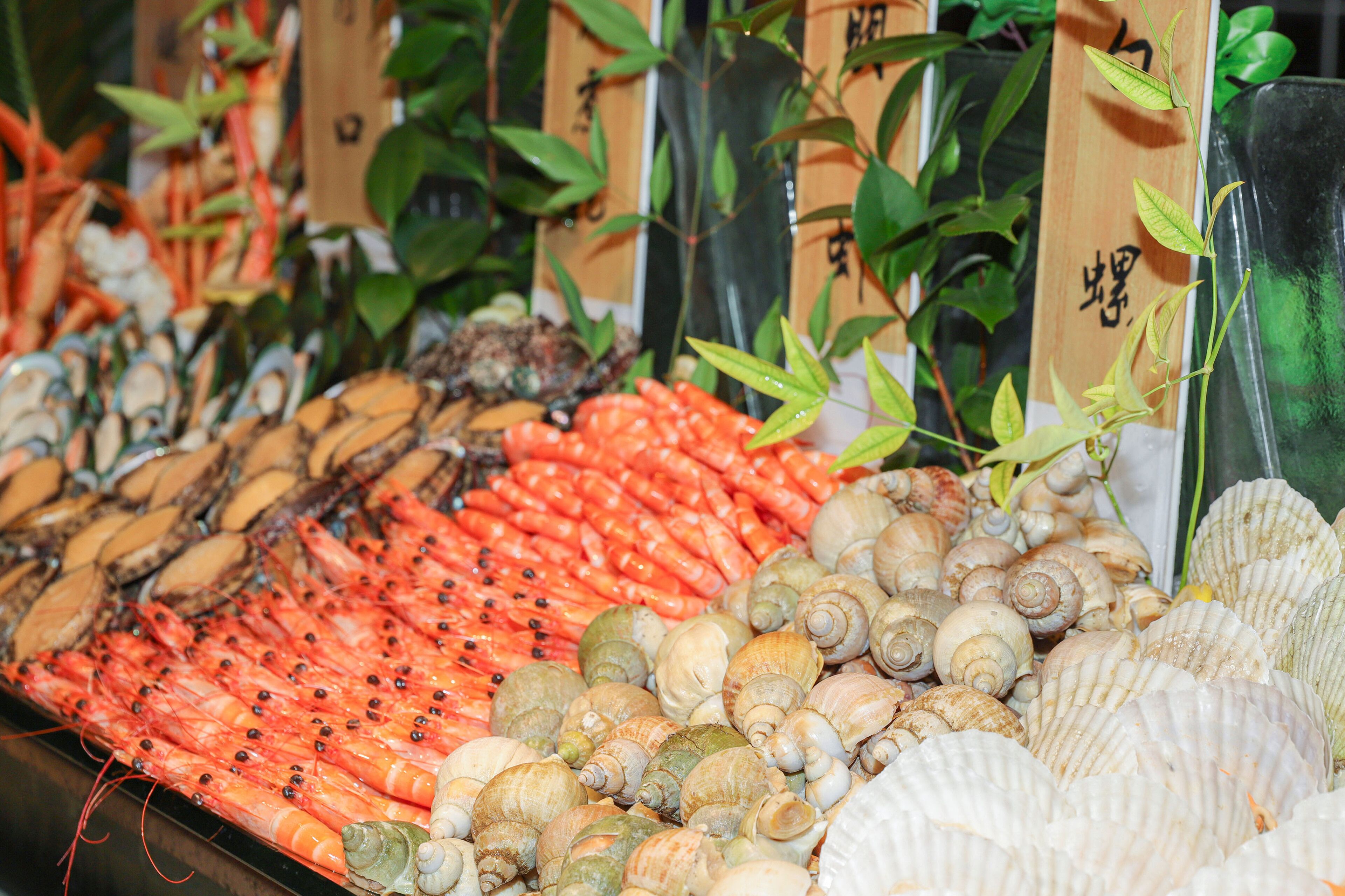 A seafood display with shrimp, scallops, and mussels.
