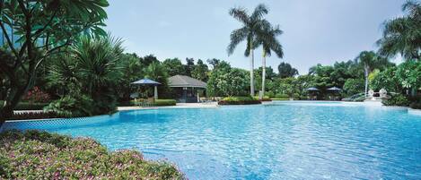 A large swimming pool surrounded by lush greenery and palm trees.