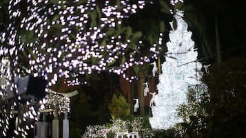 Une scène nocturne avec des arbres illuminés et une fontaine.