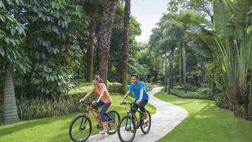 Two people riding bicycles on a paved path surrounded by lush greenery and palm trees.