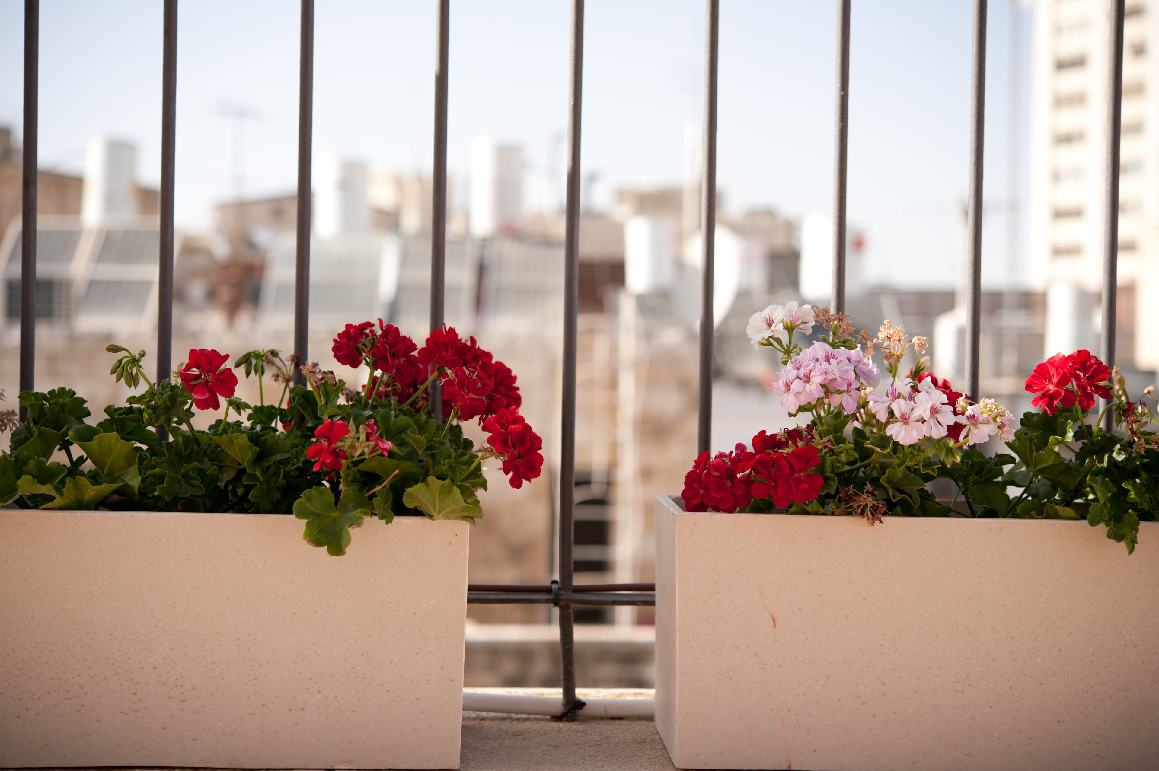 Foto - Montefiore Hotel By Smart Hotels