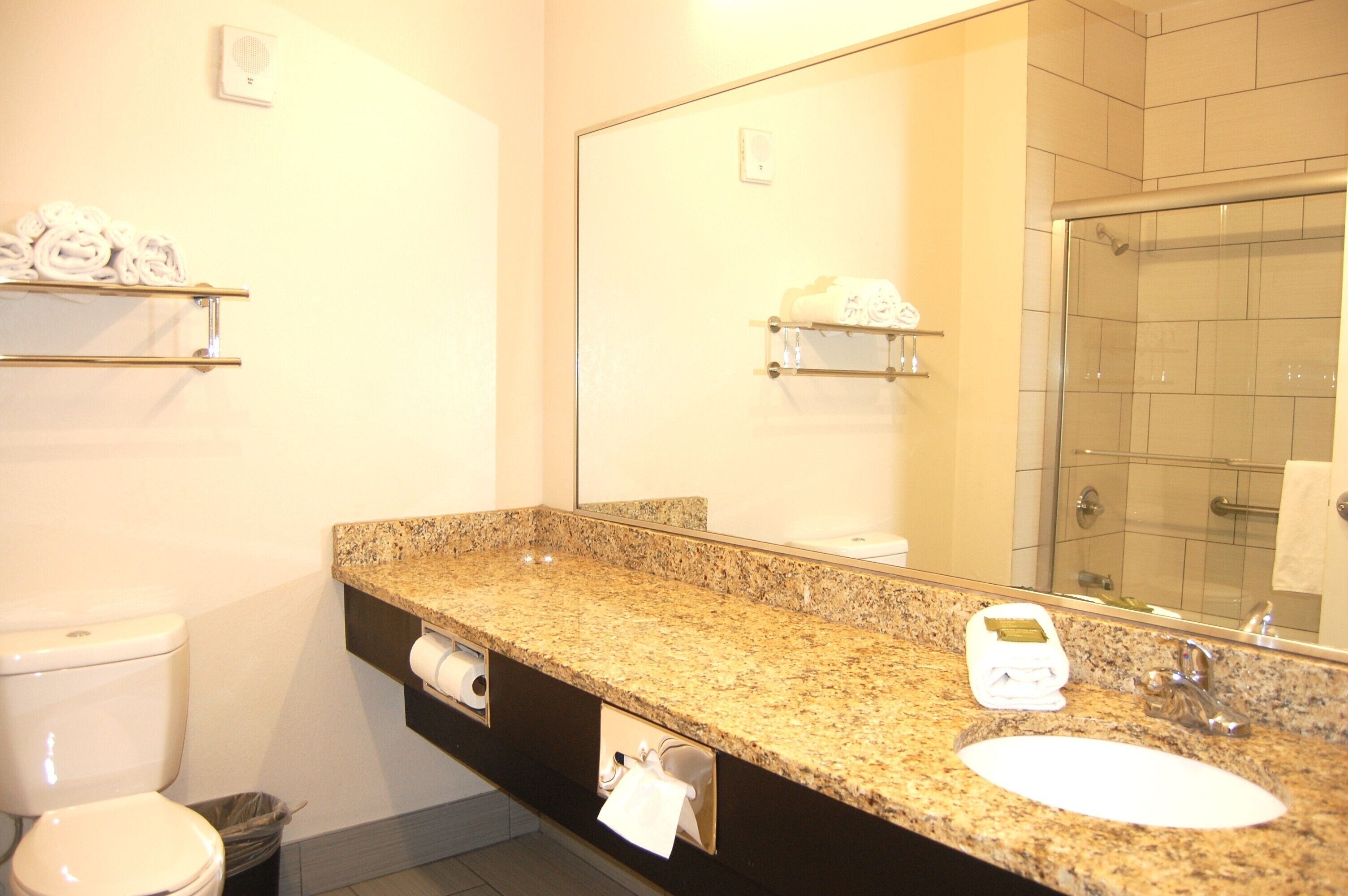 A bathroom with a granite countertop, a white sink, a mirror, a toilet, and a shower area.