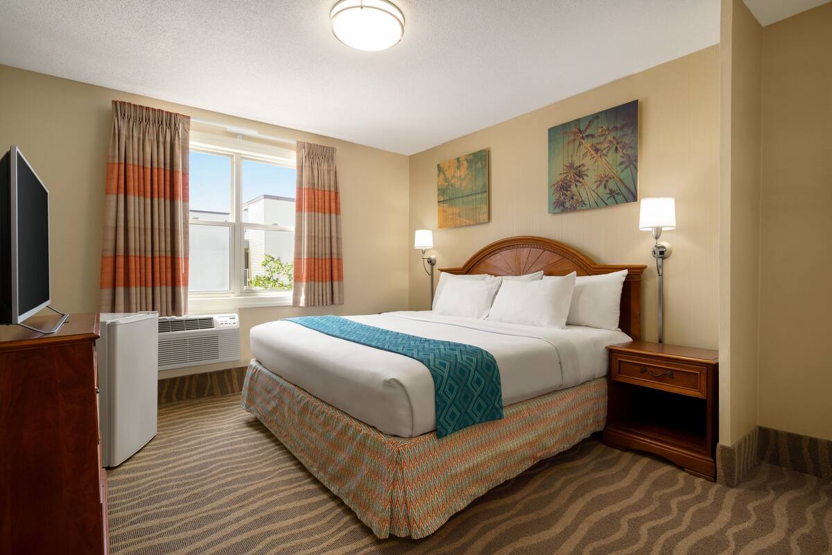 A hotel room with a bed, a TV, a heater, a window with curtains, and artwork on the wall.