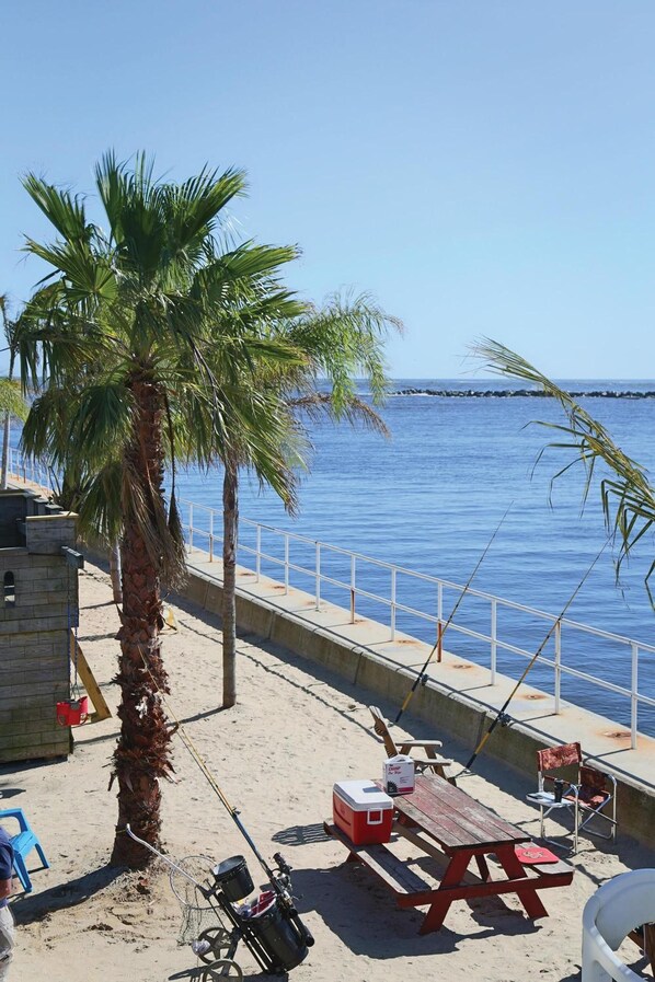 Zona de playa con una palmera, una mesa de picnic y cañas de pescar.