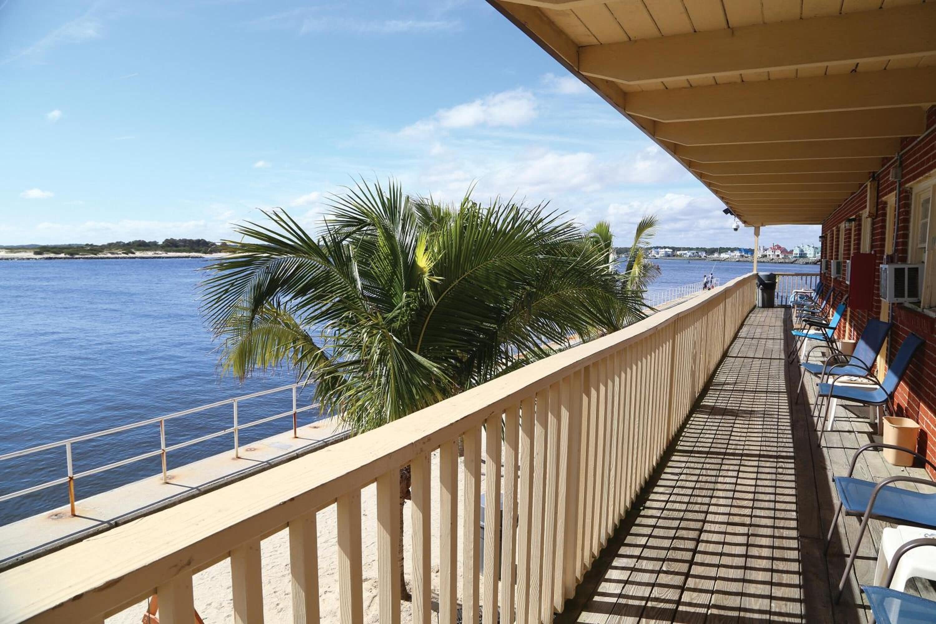 A balcony with a view of the sea, a palm tree, and a row of blue chairs.