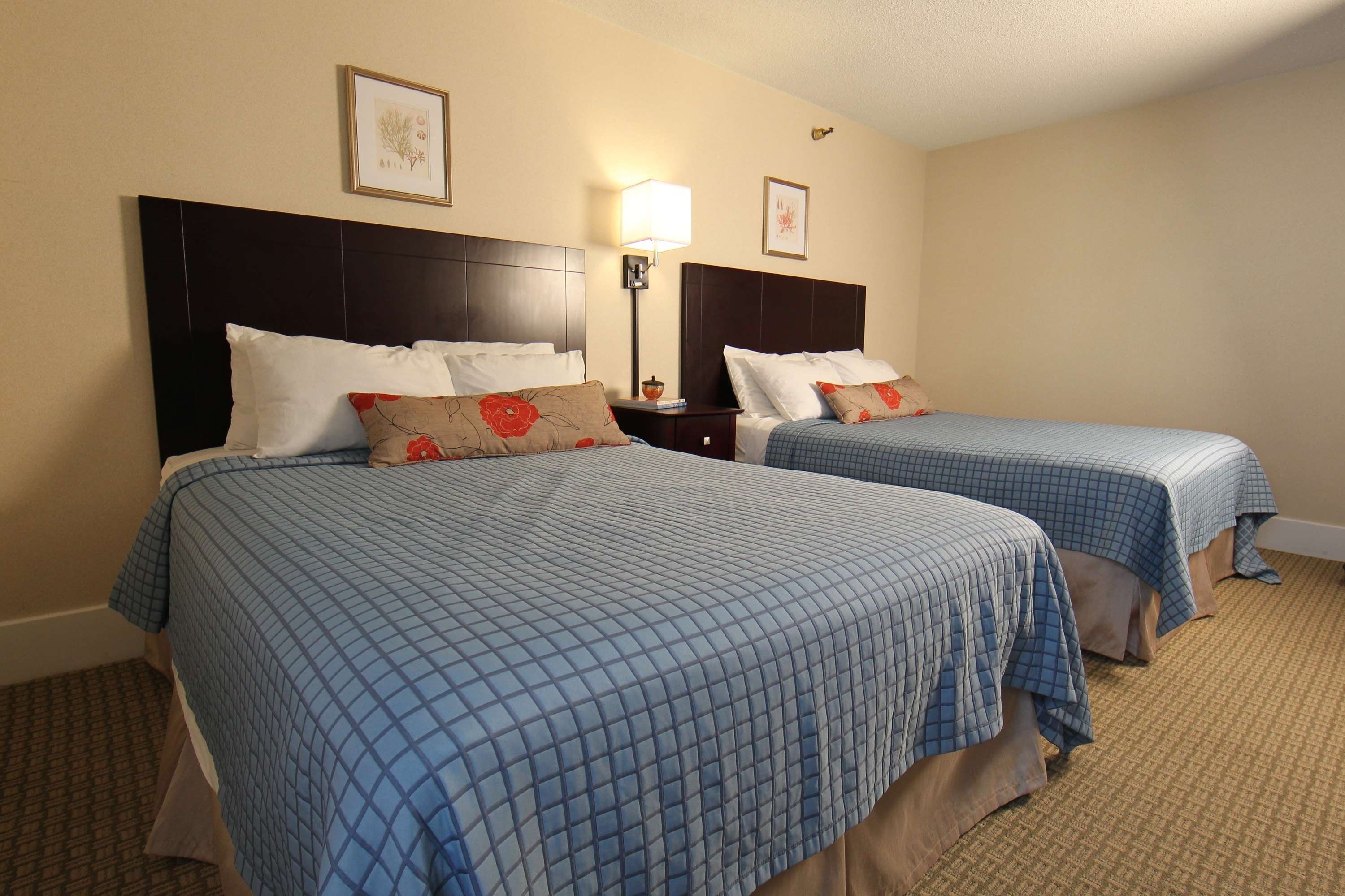 A hotel room with two beds, each with a blue quilted bedspread and white pillows. There are framed pictures on the wall and a nightstand with a lamp between the beds.