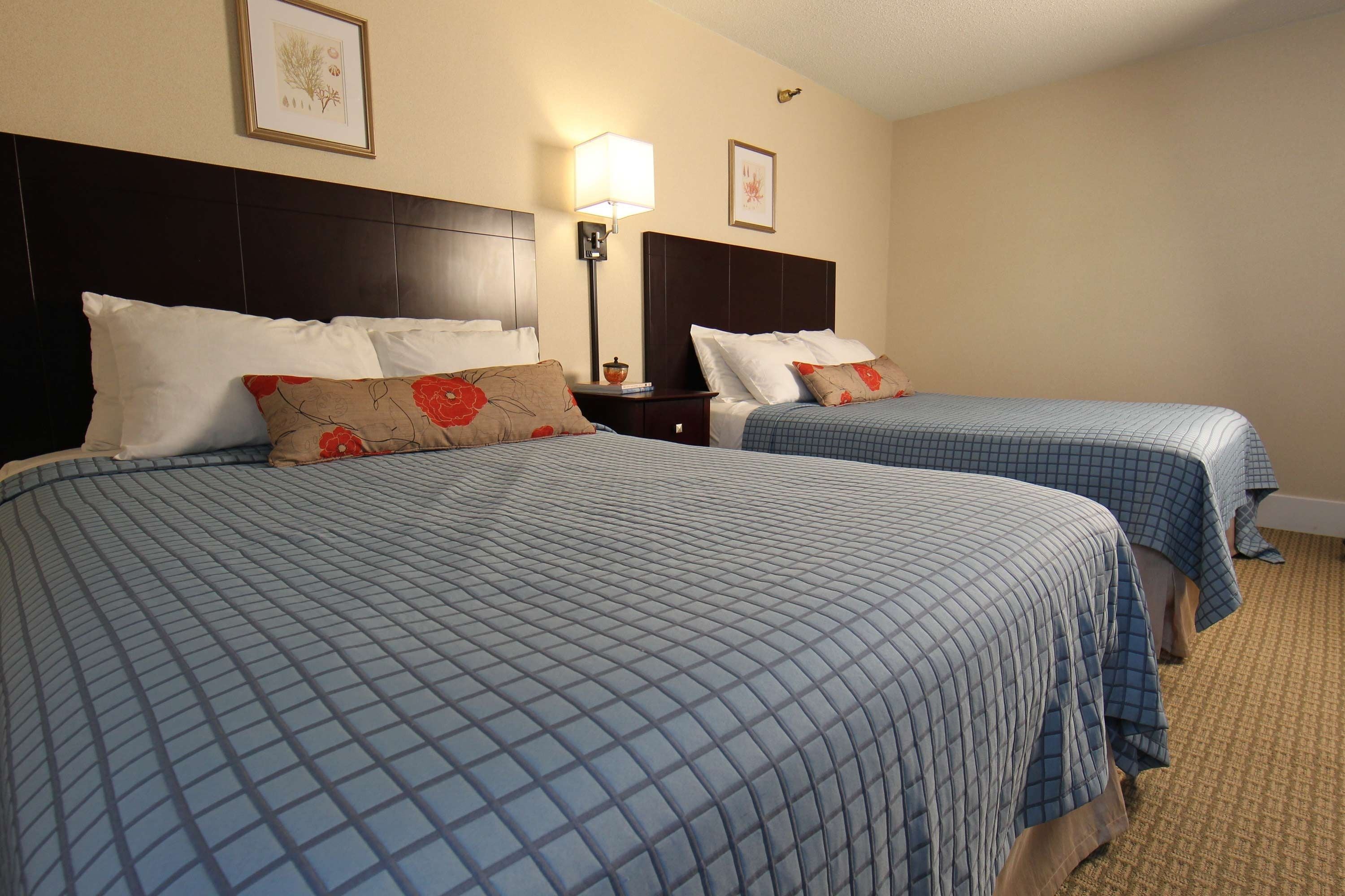 A hotel room with two beds, each with a blue checkered bedspread and white pillows. There is a nightstand with a lamp between the beds.