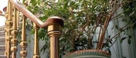 A staircase with ornate golden balusters and a large potted plant at the bottom.