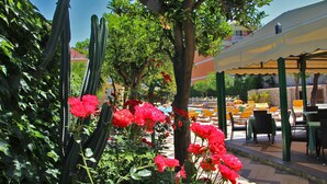 Um jardim com cactos e flores vermelhas, uma piscina e área de estar externa sob uma cobertura.