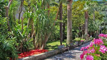 Jardim