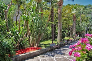 A garden pathway with benches and a variety of plants. - Grand Hotel Parco del Sole (Sant'Agnello)