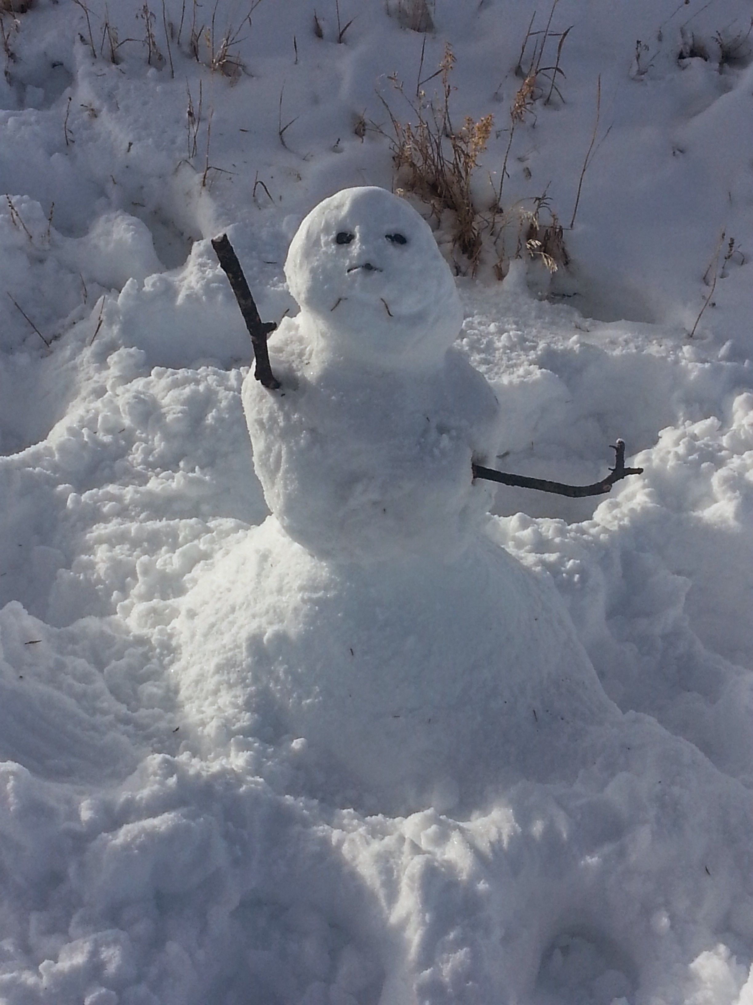 Ein Schneemann in einer verschneiten Landschaft.