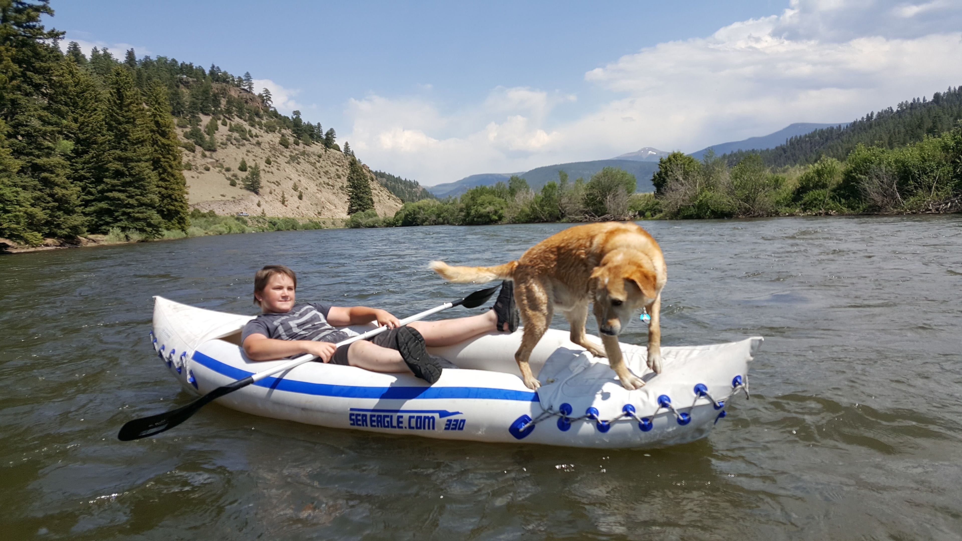 Una persona en un bote inflable blanco y azul en un río, con un perro de pie en la orilla.