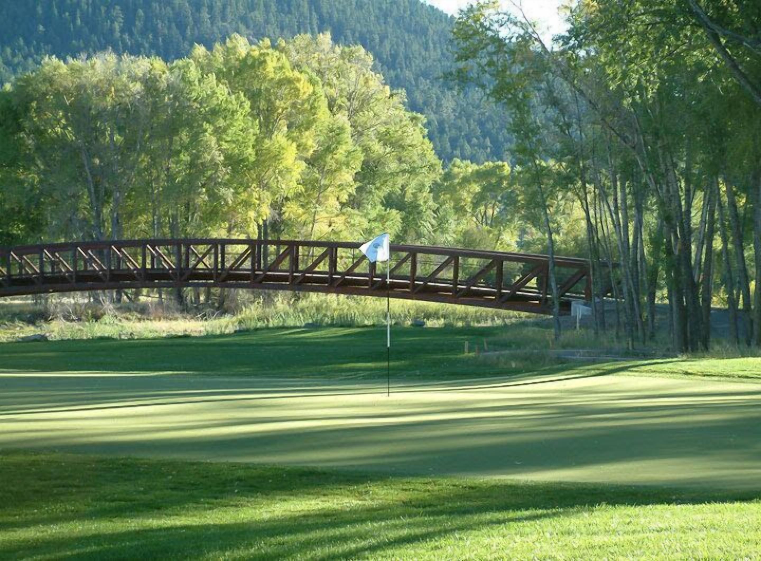 A golf course with a metal bridge and a flag on a flagstick.