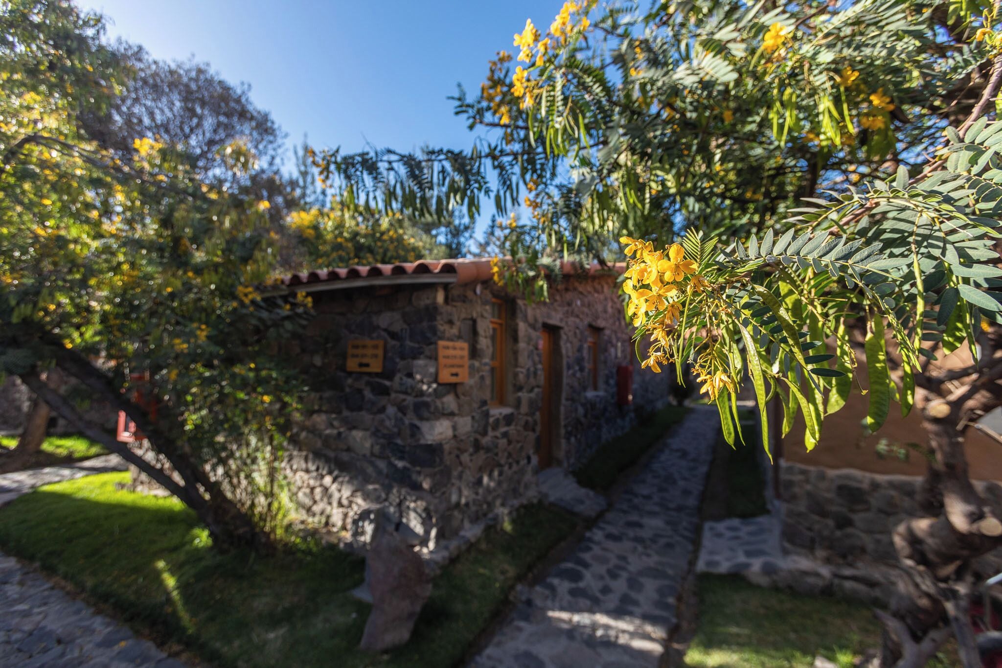 Un edifici de pedra amb teulada aquetxada, envoltat de vegetació i un camí de pedra.
