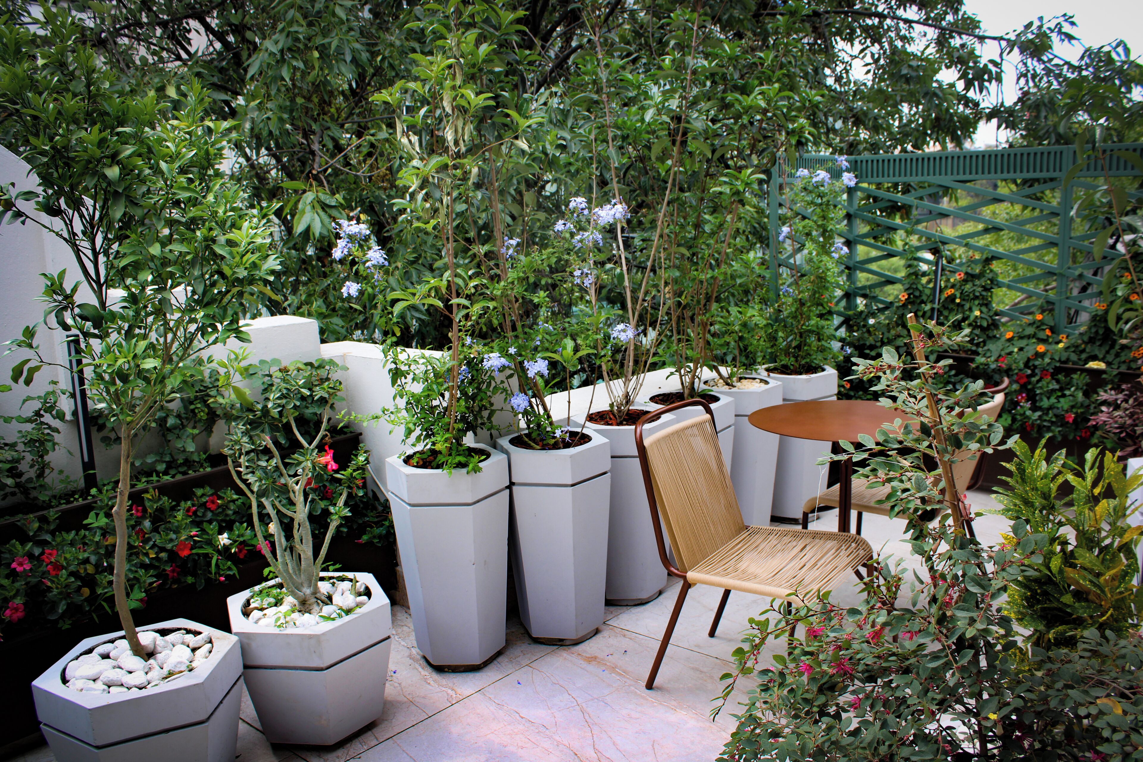 Photo - Hippodrome Hotel Condesa